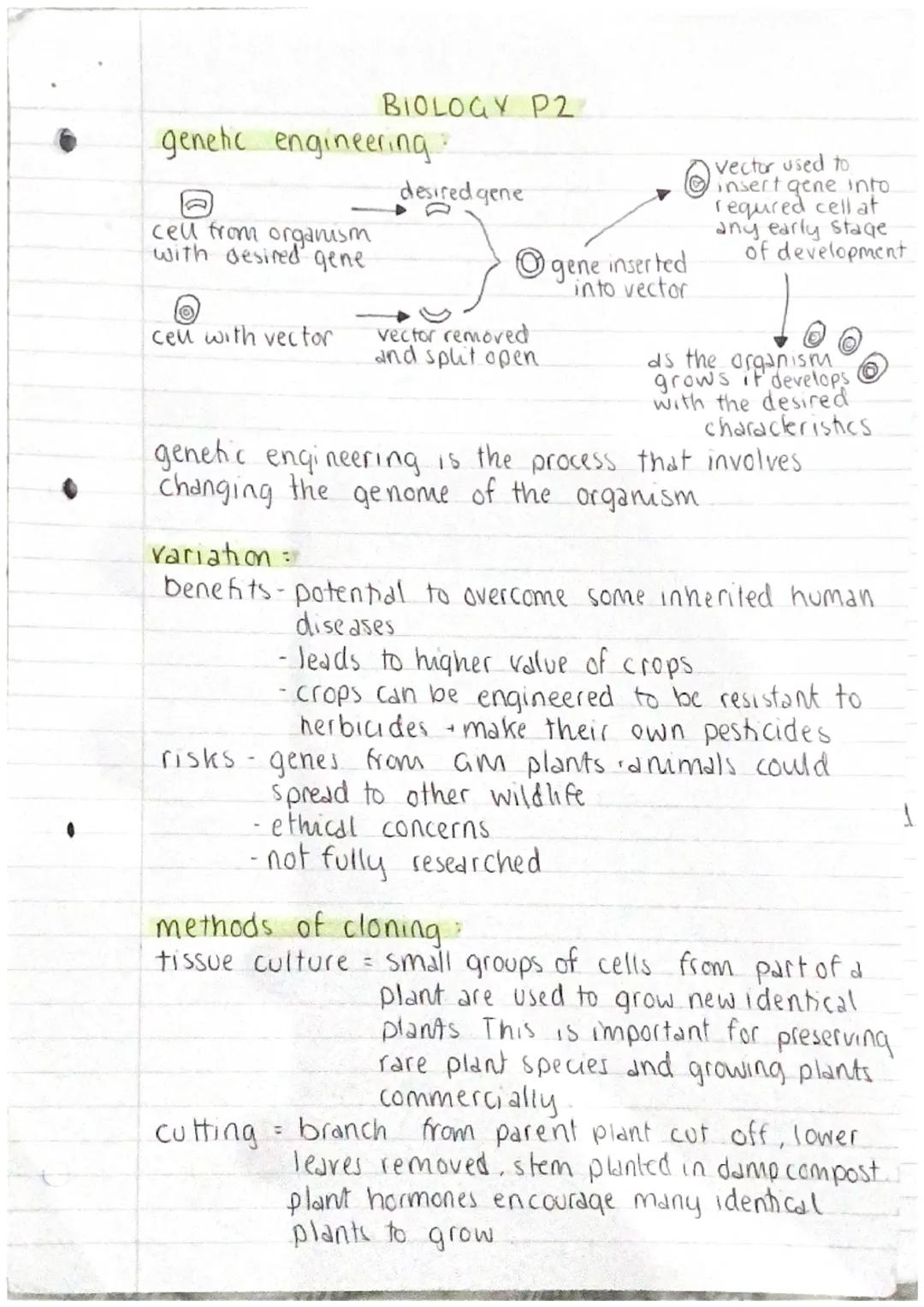 BIOLOGY P2

genetic engineering.

desired gene

cell from organism
with desired gene

gene inserted
into vector

♡

cen with vector
vector r