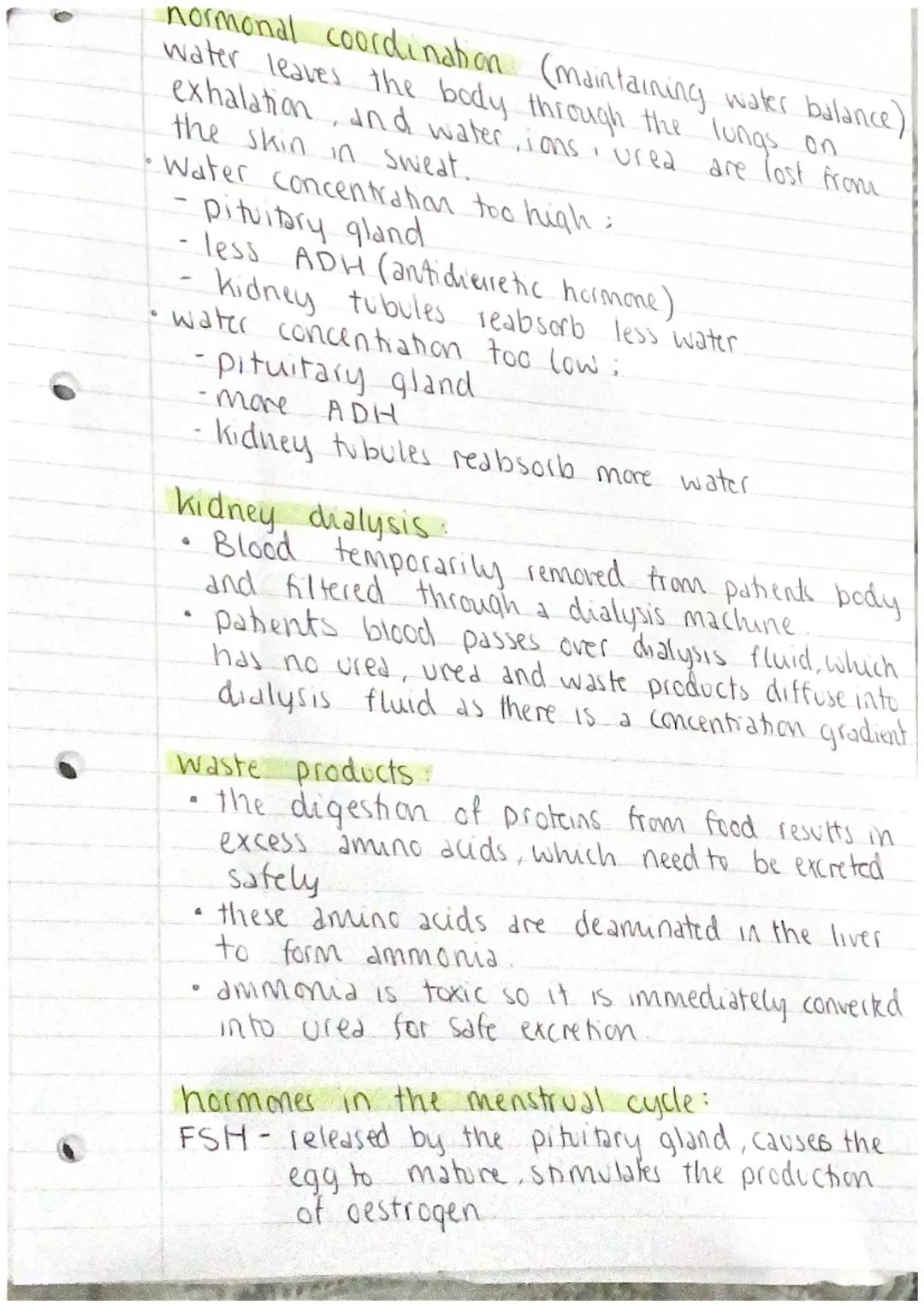 BIOLOGY P2

genetic engineering.

desired gene

cell from organism
with desired gene

gene inserted
into vector

♡

cen with vector
vector r