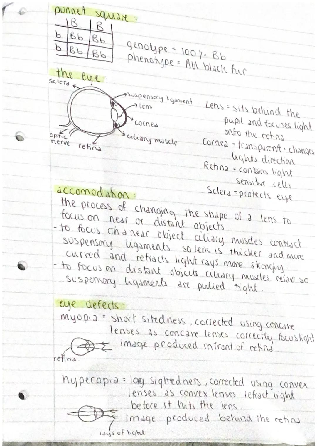 BIOLOGY P2

genetic engineering.

desired gene

cell from organism
with desired gene

gene inserted
into vector

♡

cen with vector
vector r