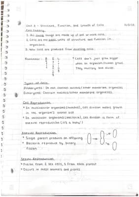 Know Cell Division, Cell Cycle and DNA Replication thumbnail