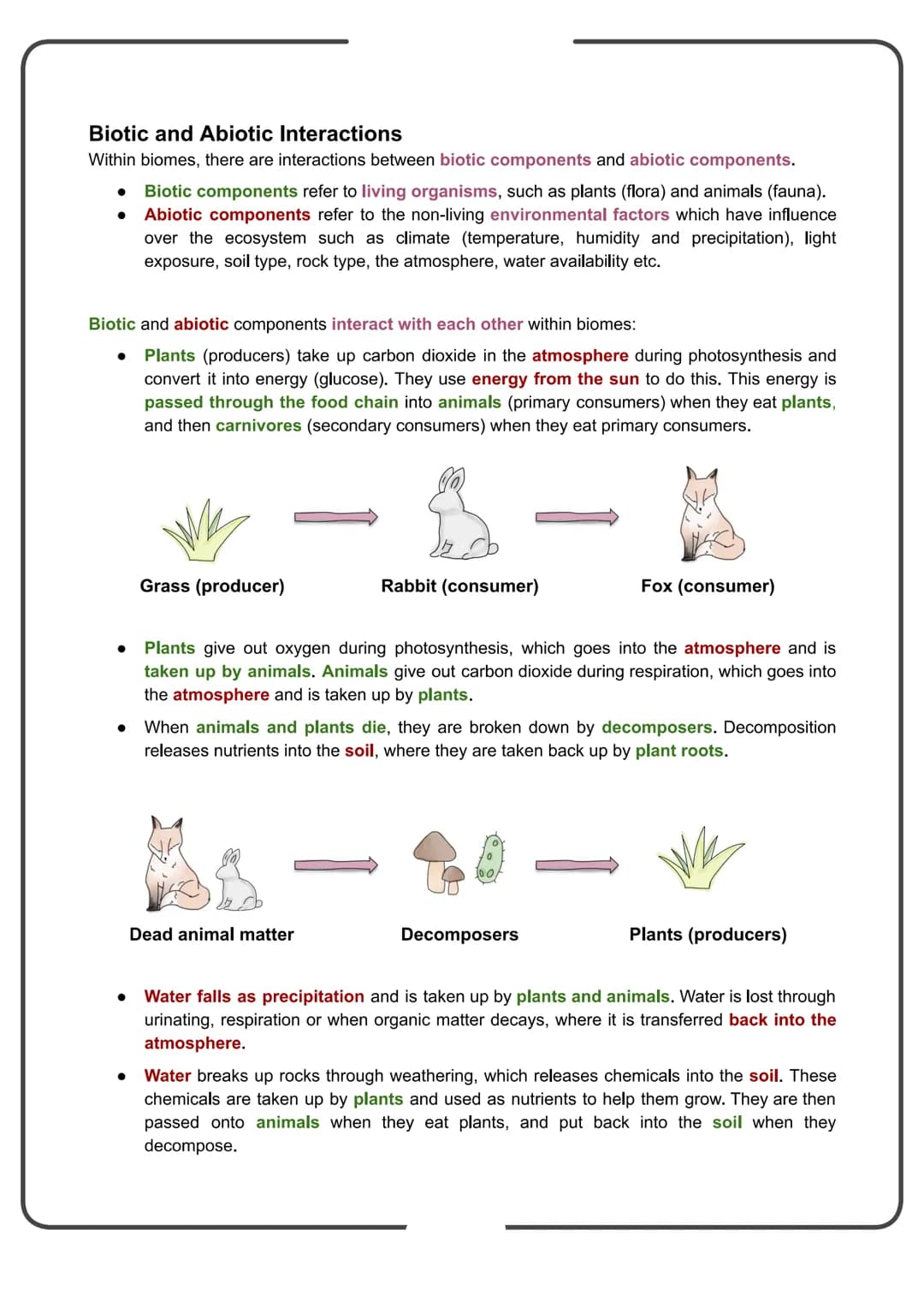 Edexcel Geography GCSE
People and the Biosphere
Detailed Notes Biomes
What is a Biome?
Biomes are global-scale ecosystems that exist through