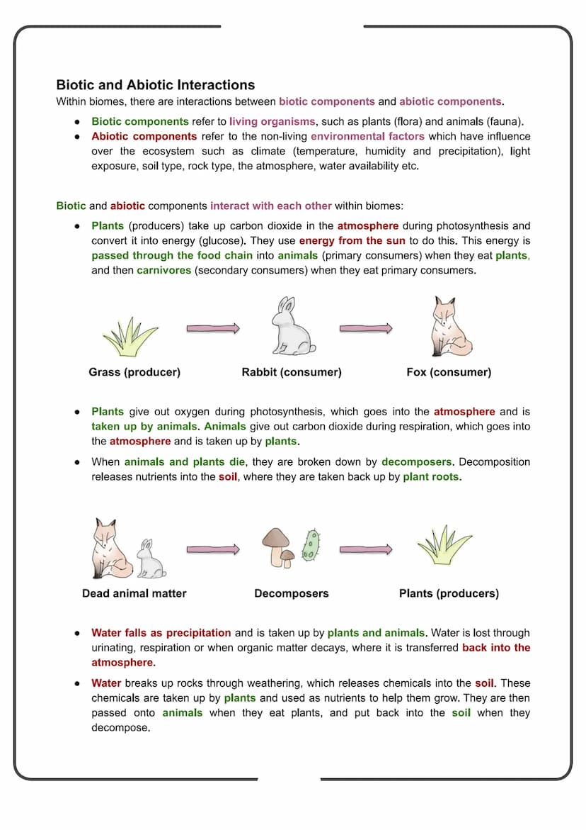 Edexcel Geography GCSE
People and the Biosphere
Detailed Notes Biomes
What is a Biome?
Biomes are global-scale ecosystems that exist through