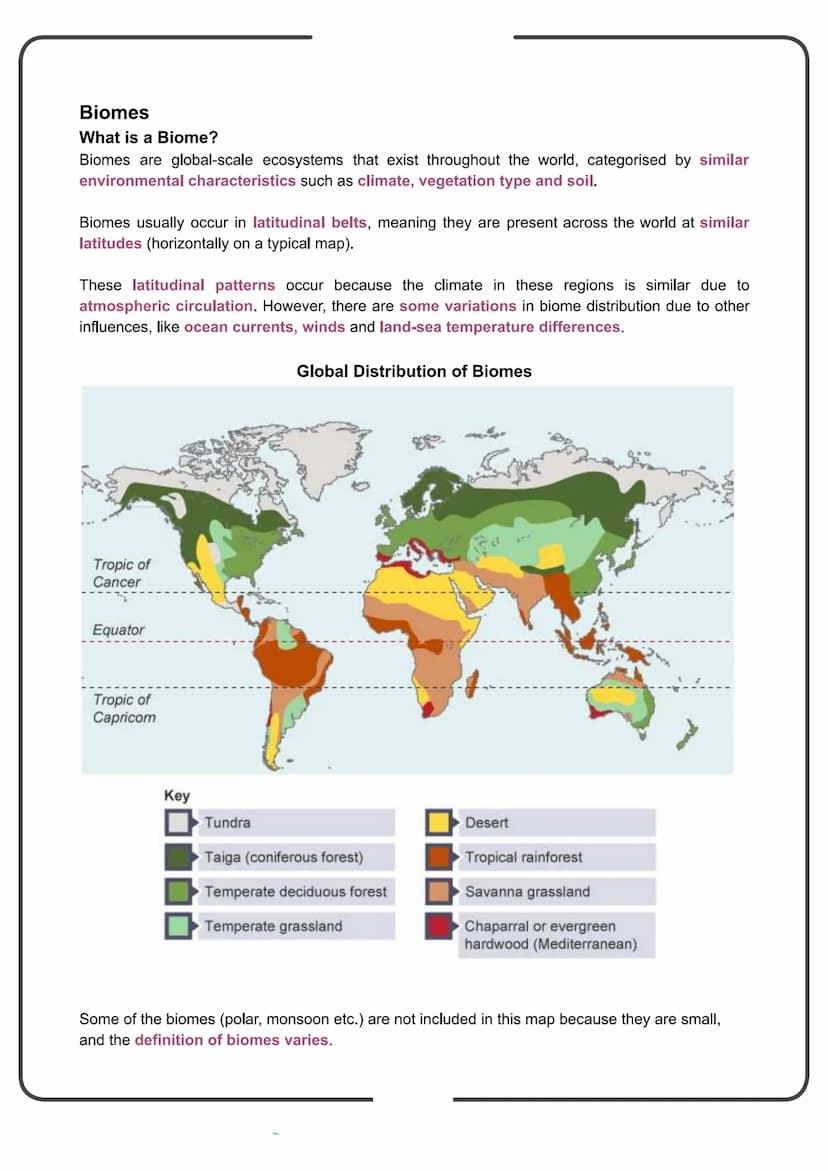 Edexcel Geography GCSE
People and the Biosphere
Detailed Notes Biomes
What is a Biome?
Biomes are global-scale ecosystems that exist through