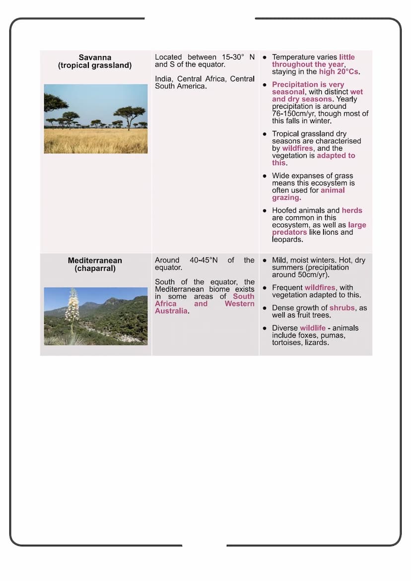 Edexcel Geography GCSE
People and the Biosphere
Detailed Notes Biomes
What is a Biome?
Biomes are global-scale ecosystems that exist through