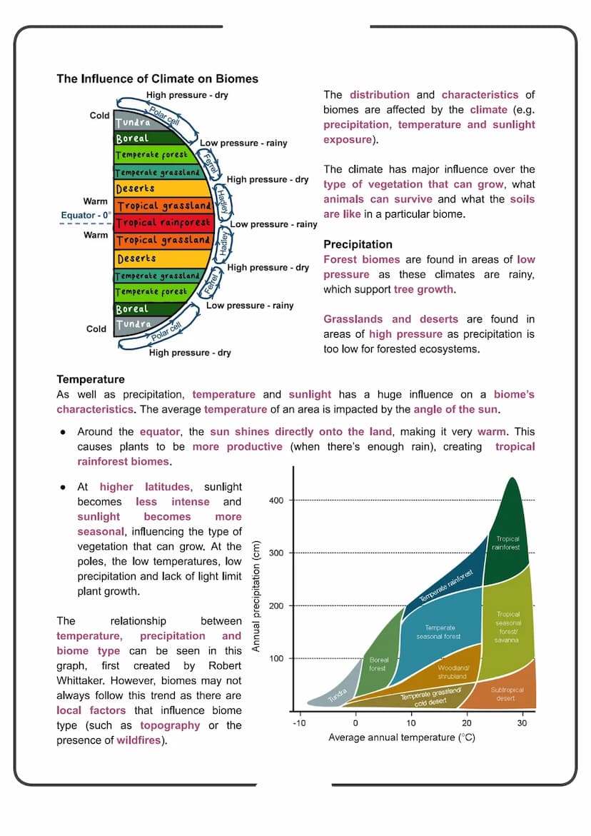 Edexcel Geography GCSE
People and the Biosphere
Detailed Notes Biomes
What is a Biome?
Biomes are global-scale ecosystems that exist through
