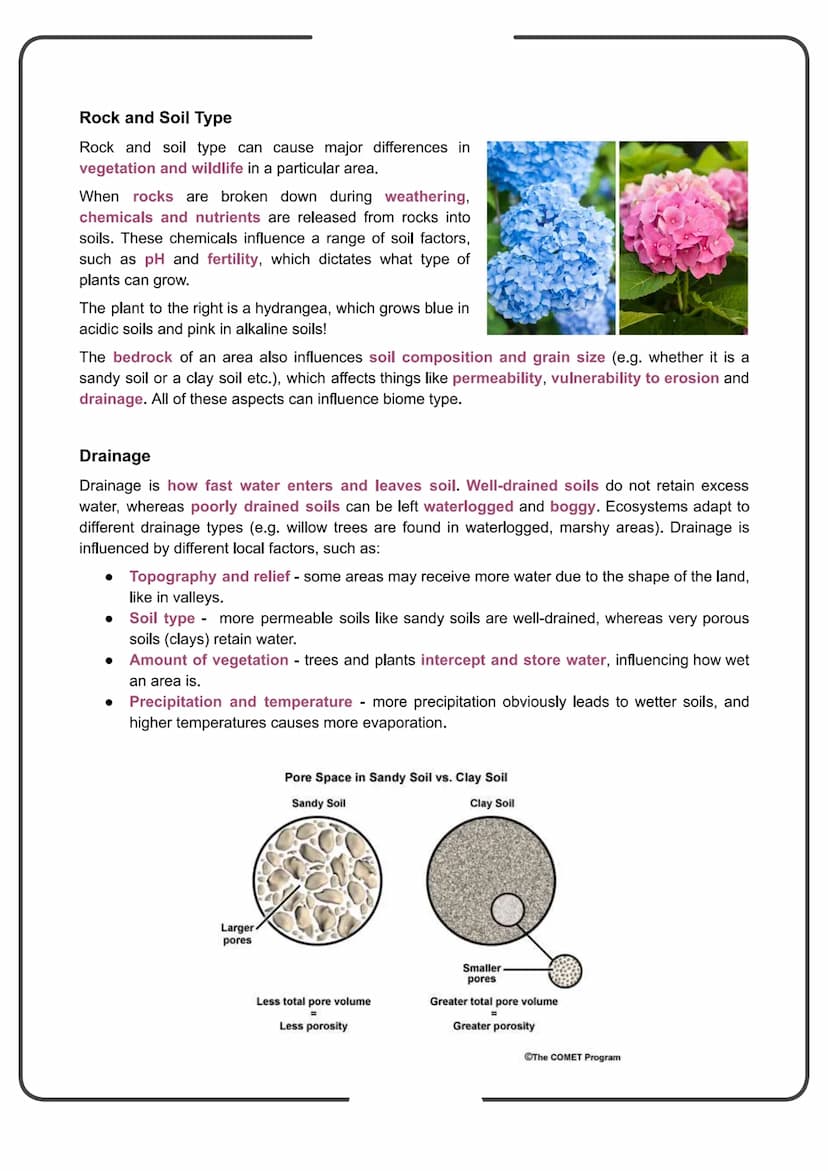 Edexcel Geography GCSE
People and the Biosphere
Detailed Notes Biomes
What is a Biome?
Biomes are global-scale ecosystems that exist through