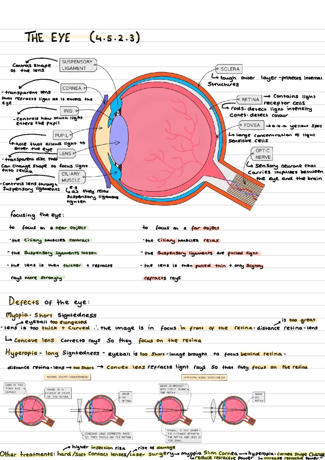 The Eye - GCSE AQA Biology Notes / Higher 