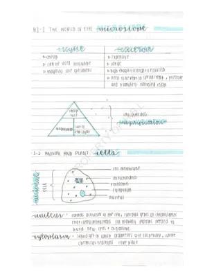 Know Biology paper 1 revision notes thumbnail