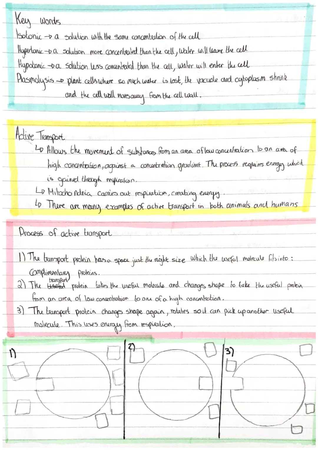 Biology Paper I
Cell biology
ribosomes
mitochondria.
nucleus
cytoplasm
Slime
Capsule
mitochondria
gonetic
Malerial?
cytoplasm
55
Plant cell 