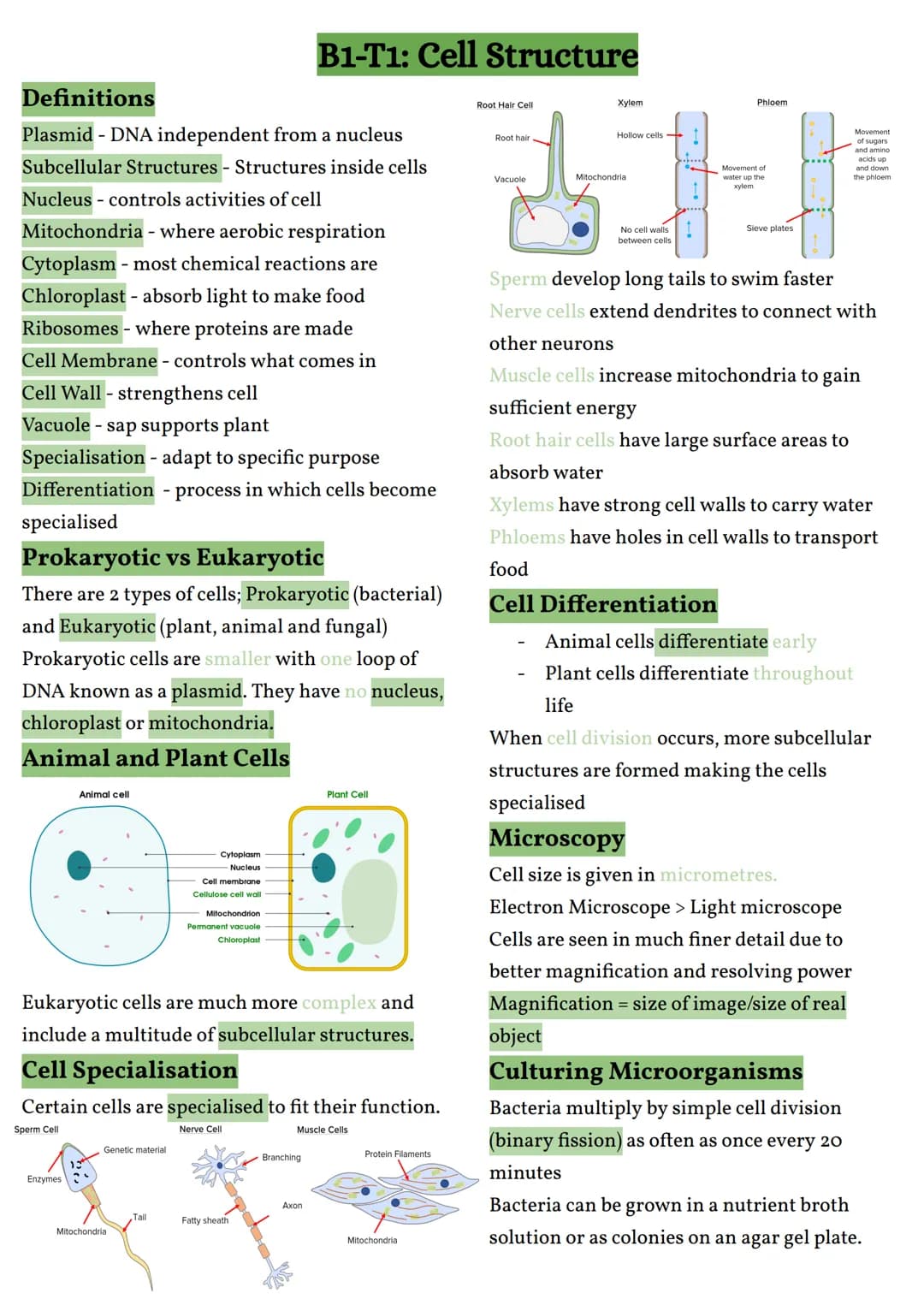 Definitions
Plasmid DNA independent from a nucleus
Subcellular Structures - Structures inside cells
Nucleus controls activities of cell
Mito