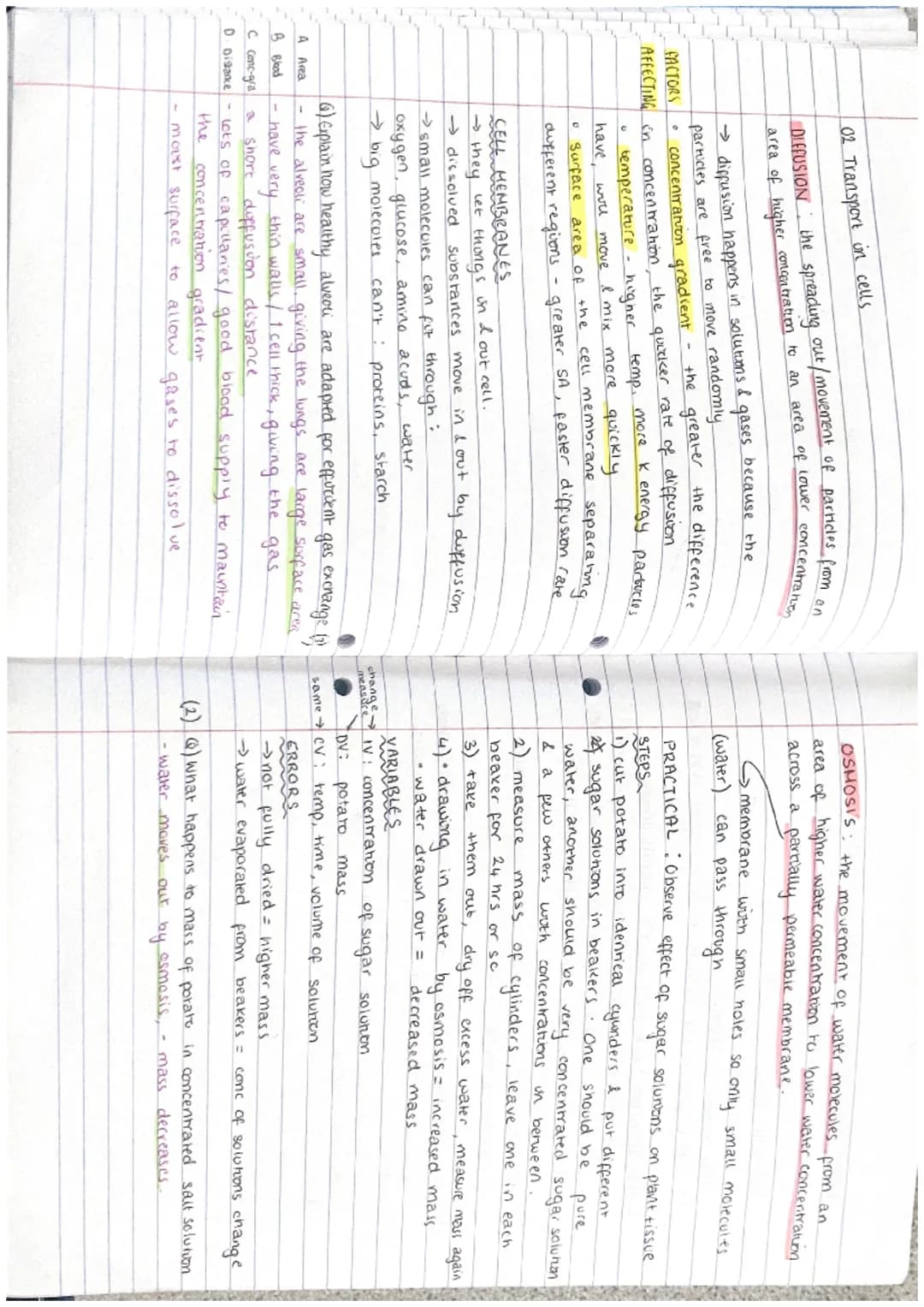 RIPLE.
ни
PAPER 1 CHECKLIST
ol: cell Structure
- Eukaryotes, Prokaryotes - Animal & plant cells
- Mucroscopy - Organisation
02: Transport on