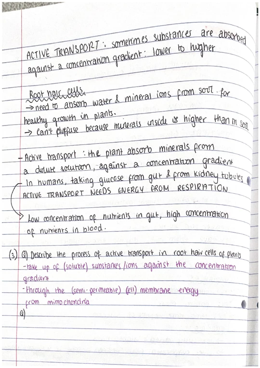 RIPLE.
ни
PAPER 1 CHECKLIST
ol: cell Structure
- Eukaryotes, Prokaryotes - Animal & plant cells
- Mucroscopy - Organisation
02: Transport on