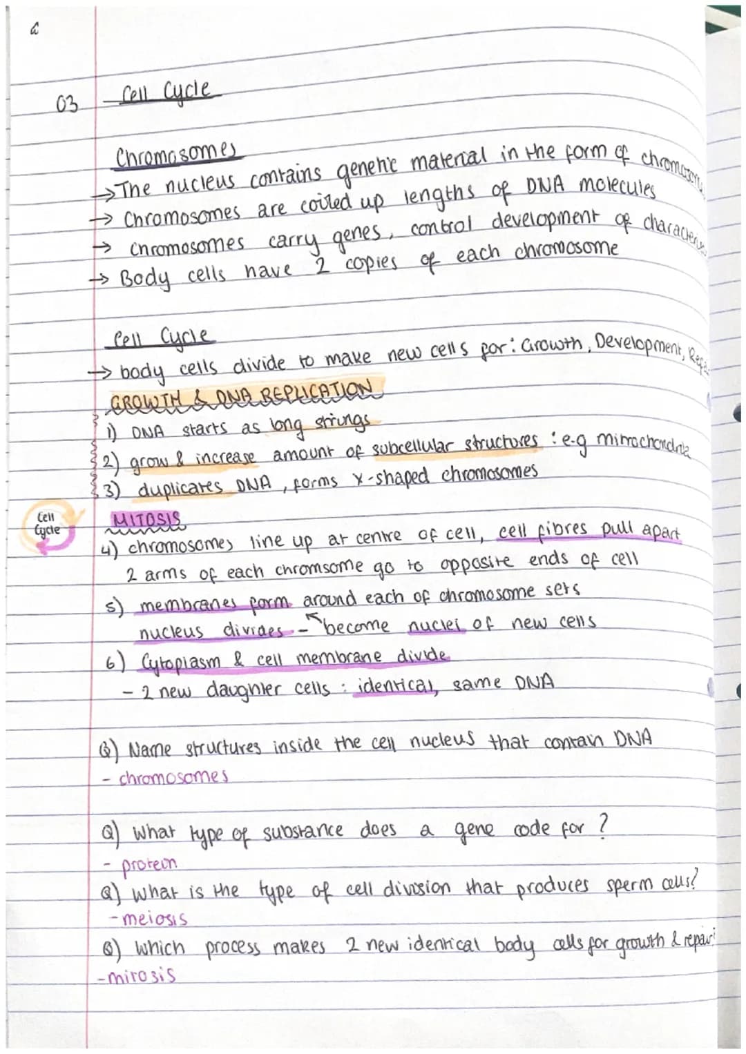 RIPLE.
ни
PAPER 1 CHECKLIST
ol: cell Structure
- Eukaryotes, Prokaryotes - Animal & plant cells
- Mucroscopy - Organisation
02: Transport on