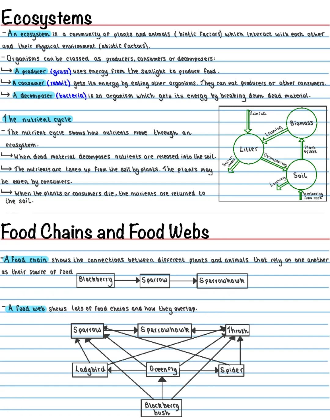 Understanding Nutrient Cycling and Food Webs in Ecosystems