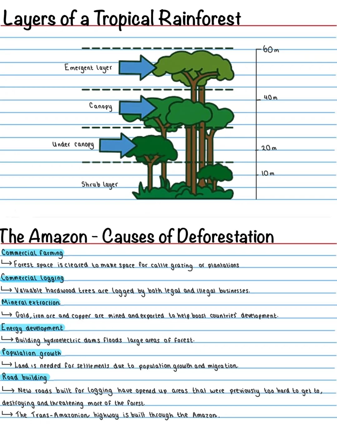 
<p>An ecosystem is a community of plants and animals (biotic factors) which interact with each other and their physical environment (abioti