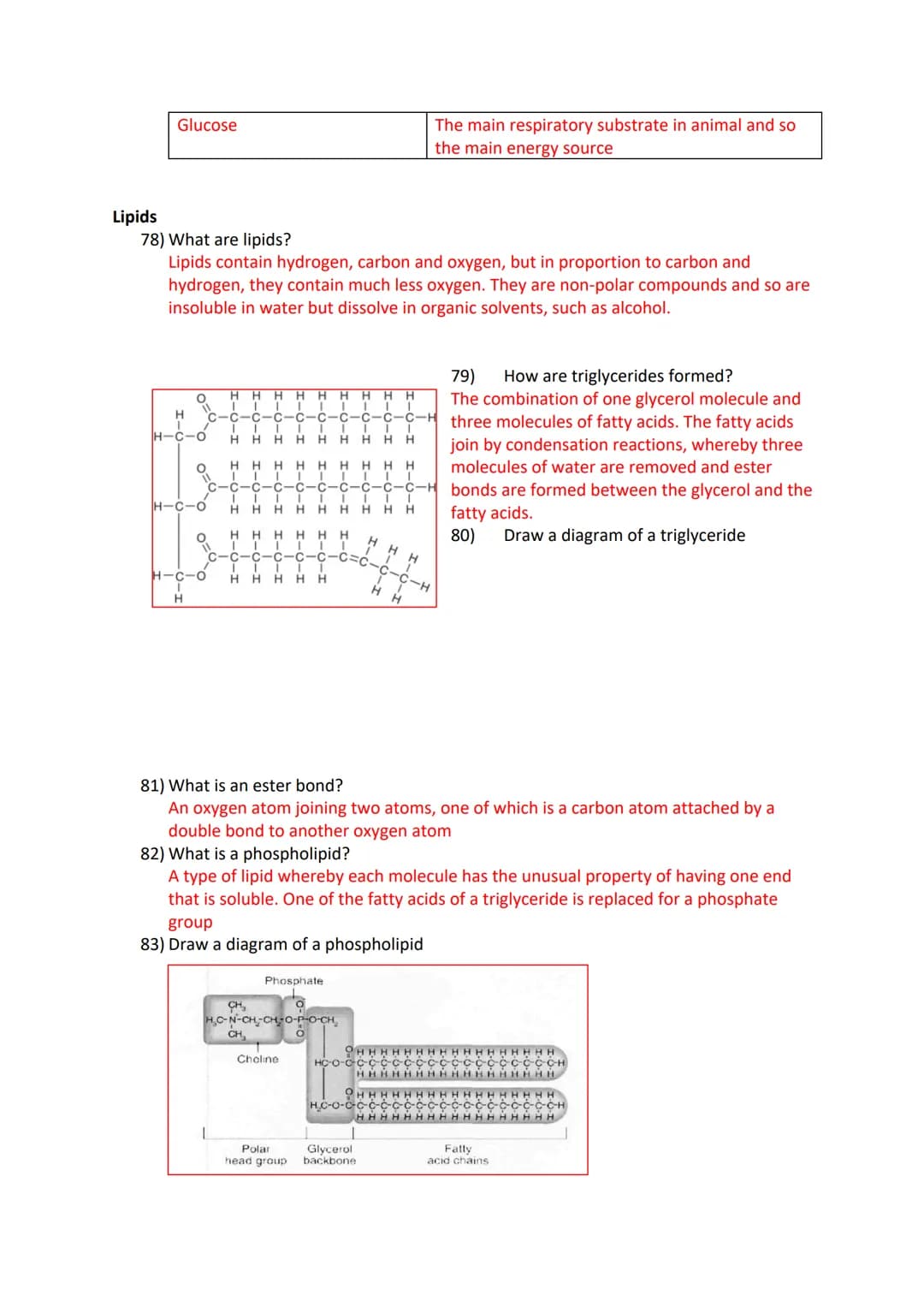 Revision card questions for biological compounds
Inorganic lons
1) Define atom
The basic unit of a chemical element
2) Define element
Substa