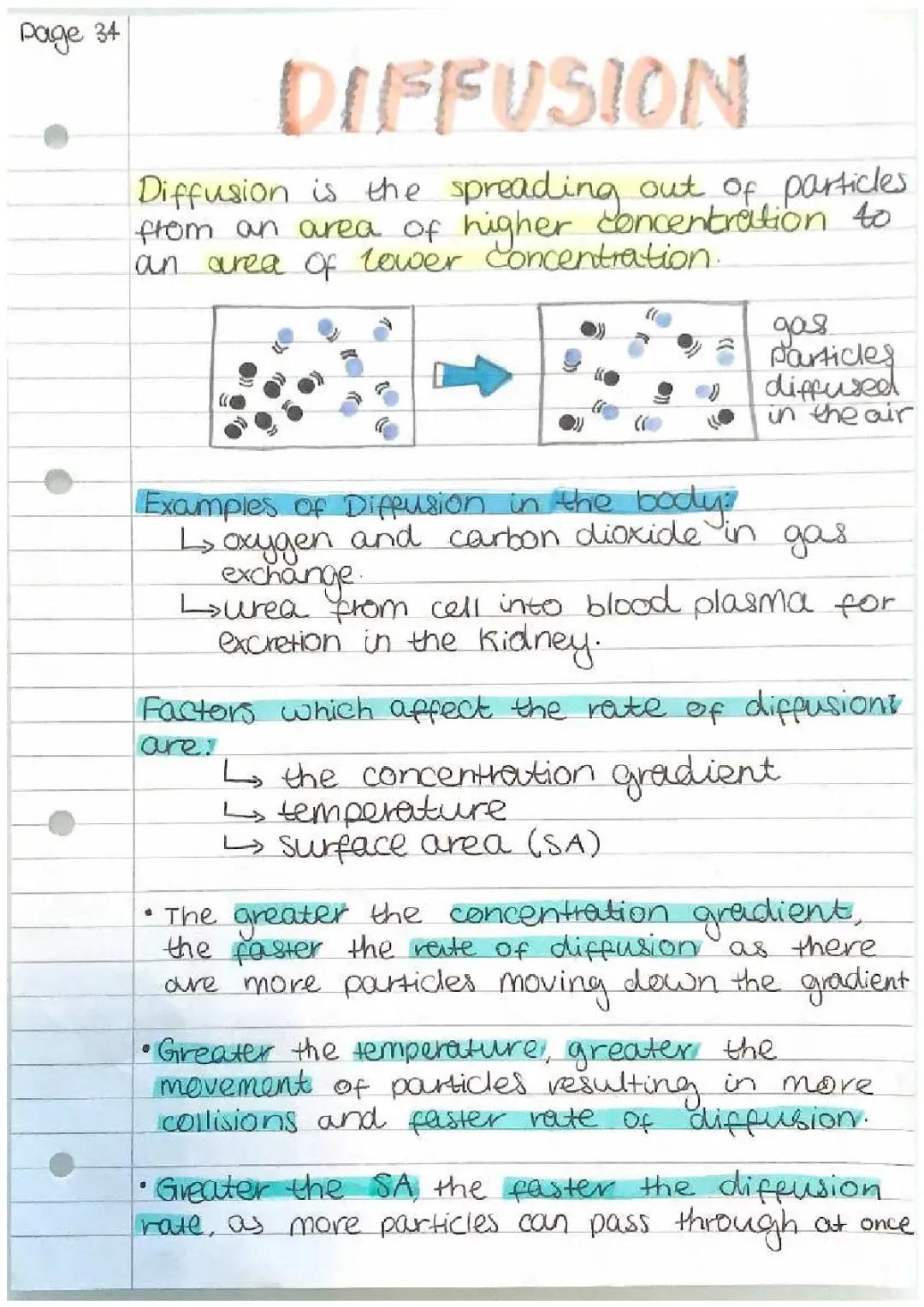diffusion and osmosis 