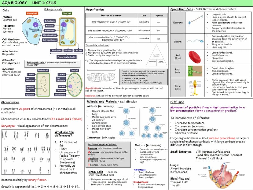 Biology Knowledge Organisers
Unit 1: Cells
Unit 2: Organisation
Unit 3: Infectious Diseases
Unit 4: Bioenergetics
(Photosynthesis and
Respir