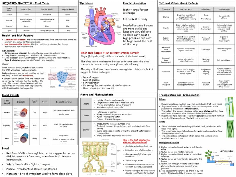Biology Knowledge Organisers
Unit 1: Cells
Unit 2: Organisation
Unit 3: Infectious Diseases
Unit 4: Bioenergetics
(Photosynthesis and
Respir
