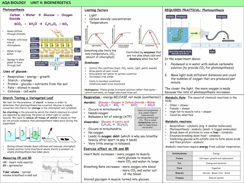 Biology Knowledge Organisers
Unit 1: Cells
Unit 2: Organisation
Unit 3: Infectious Diseases
Unit 4: Bioenergetics
(Photosynthesis and
Respir