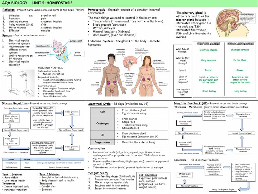Biology Knowledge Organisers
Unit 1: Cells
Unit 2: Organisation
Unit 3: Infectious Diseases
Unit 4: Bioenergetics
(Photosynthesis and
Respir