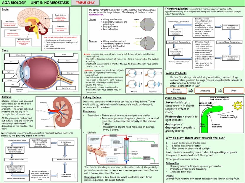 Biology Knowledge Organisers
Unit 1: Cells
Unit 2: Organisation
Unit 3: Infectious Diseases
Unit 4: Bioenergetics
(Photosynthesis and
Respir