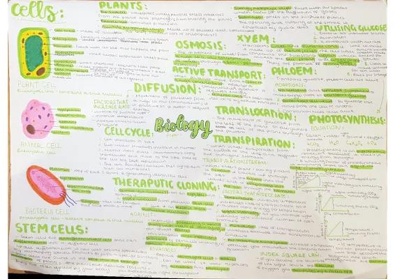 Know GCSE AQA Biology Paper 1 Mind map thumbnail