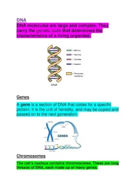 Know DNA thumbnail