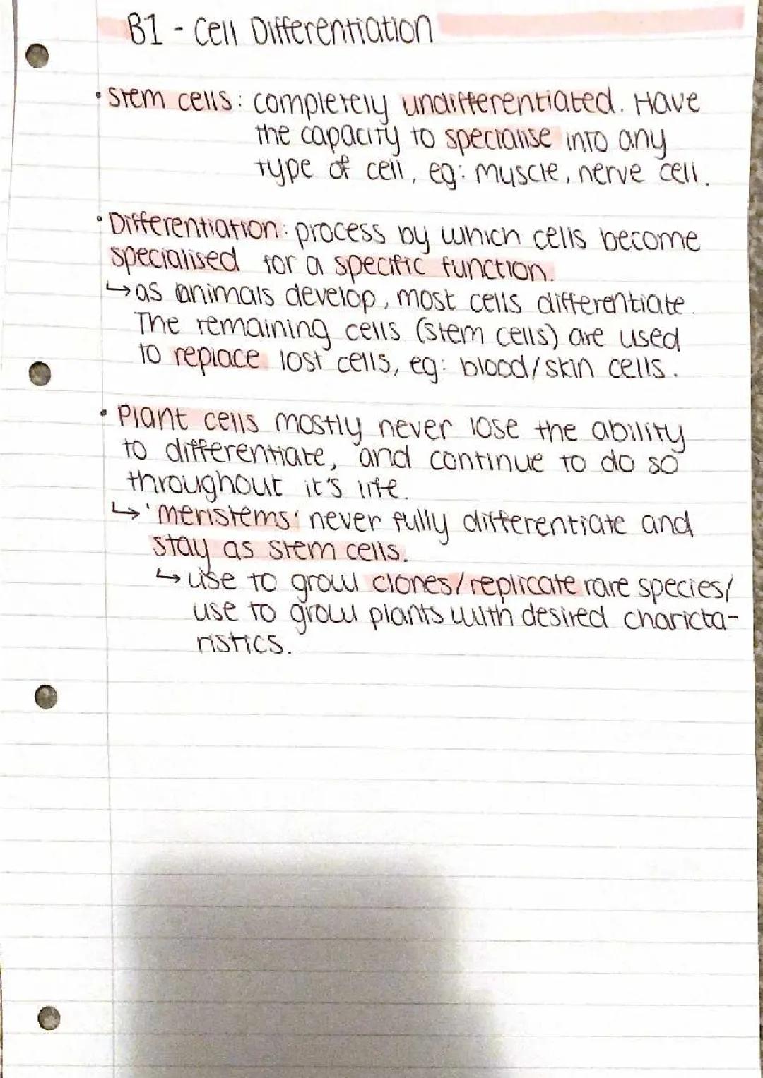 Cell specialisation/differentiation