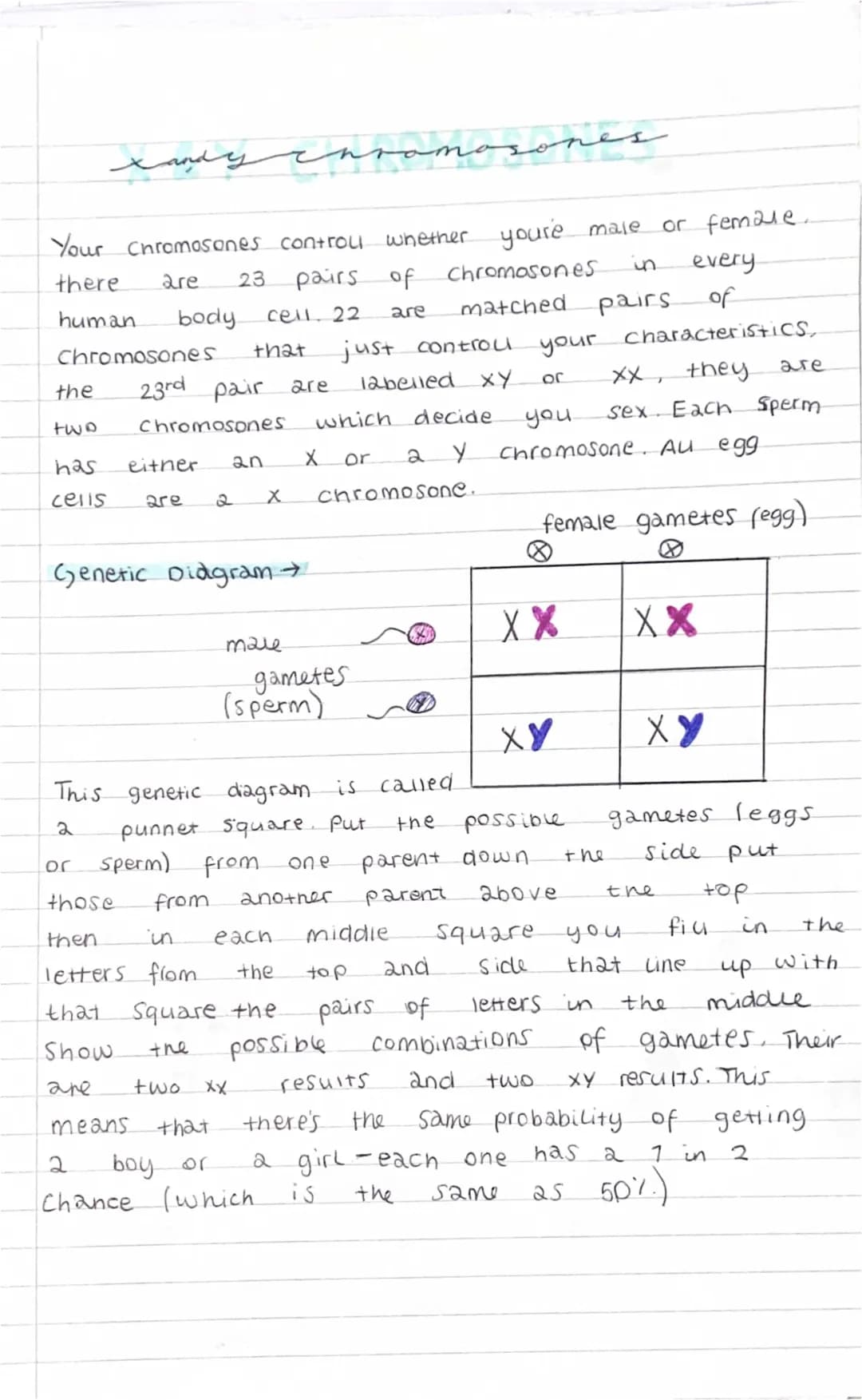 Human Chromosome Pairs and How Kids are Made: All About Reproduction and Mutations!