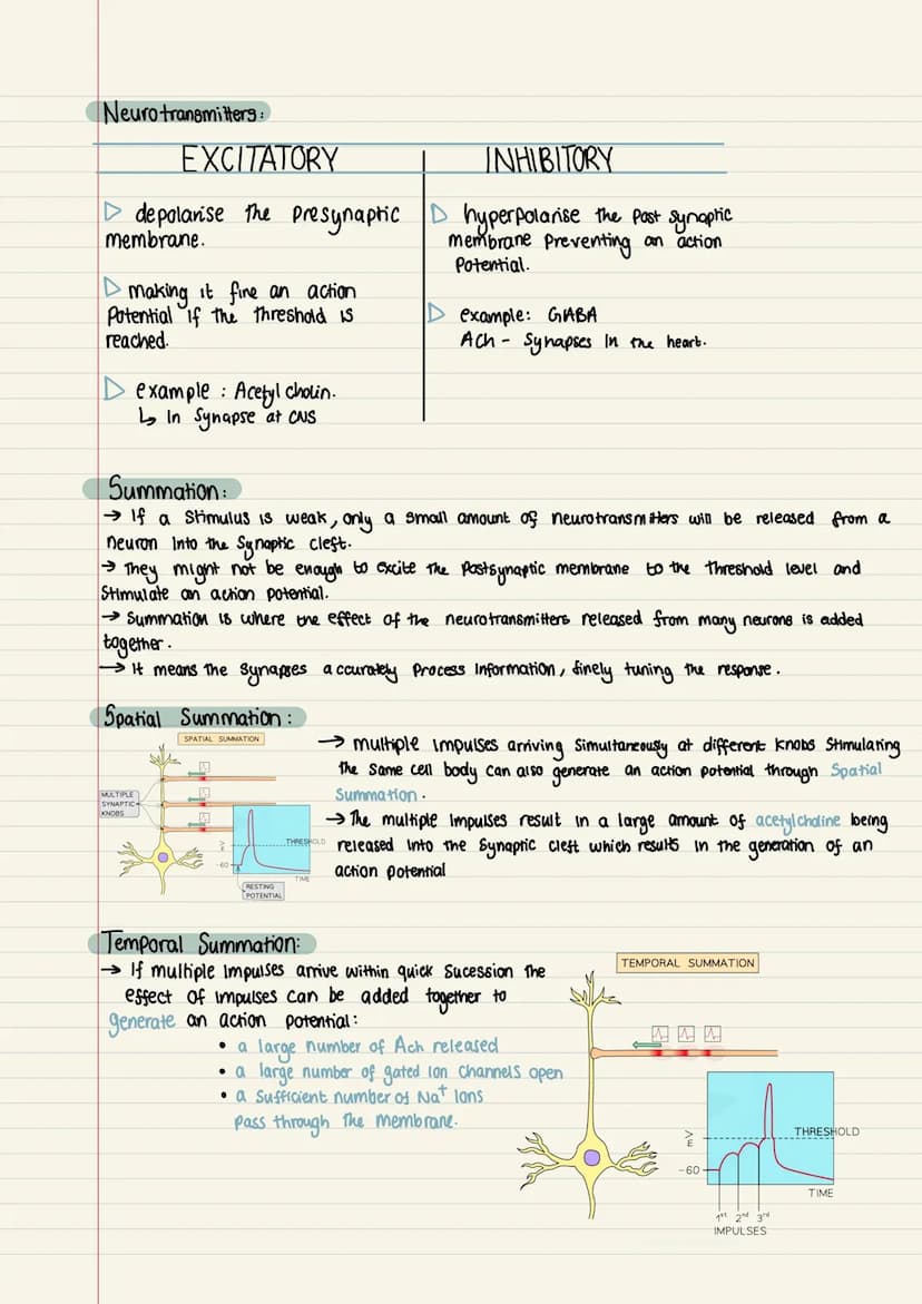 Wednesday 30th November 2022
Topic: action potential
• A self Propagating wave of electrical activity that travels along the
neuron membrane