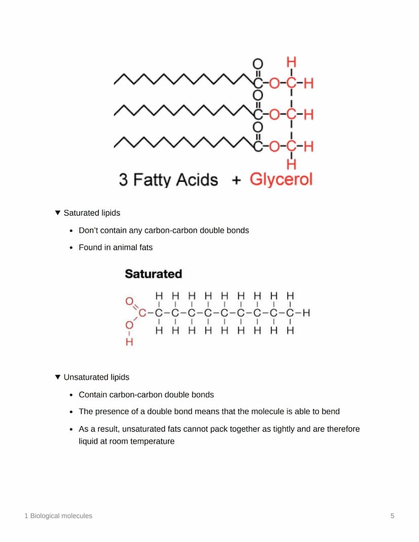 
<h2 id="monomersandpolymers">Monomers and Polymers</h2>
<p>In biological molecules, monomers are smaller units from which larger molecules 
