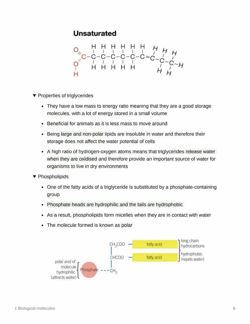 
<h2 id="monomersandpolymers">Monomers and Polymers</h2>
<p>In biological molecules, monomers are smaller units from which larger molecules 