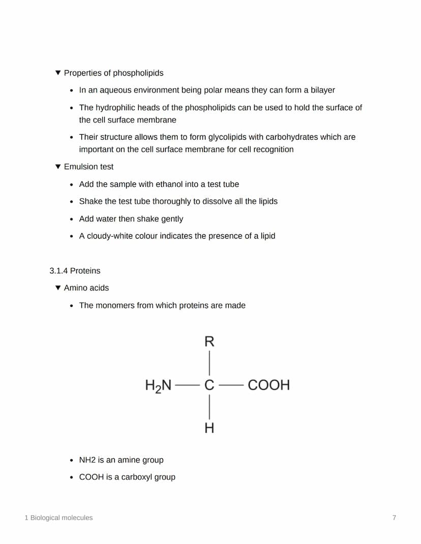 
<h2 id="monomersandpolymers">Monomers and Polymers</h2>
<p>In biological molecules, monomers are smaller units from which larger molecules 