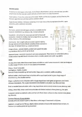 Know The Skeletal system  thumbnail