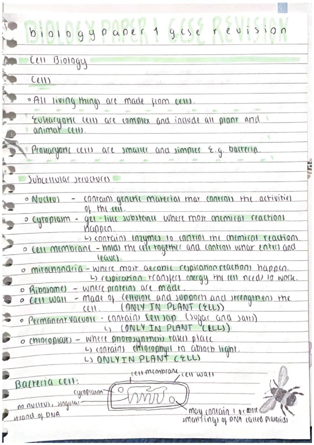 biology paper t gese Revision
1
Cell Biology
Cell)
• All living things are made from cell).
Euharyoric cell) are complex and include all pla