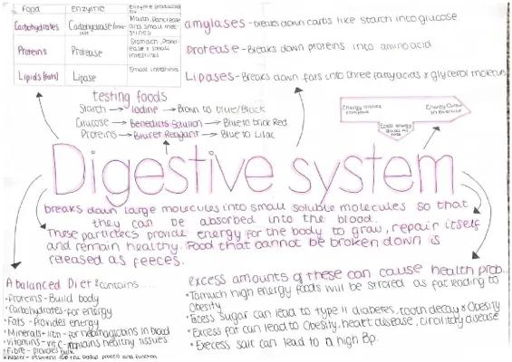 Know Biology Digestion  thumbnail