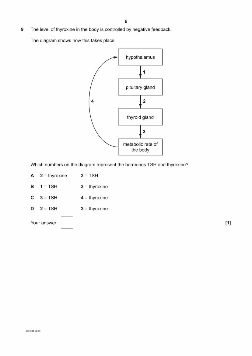 *7089391319*
OCR
Oxford Cambridge and RSA
H
GCSE (9-1) Biology A (Gateway Science)
J247/03 Paper 1, B1-B3 and B7 (Higher Tier)
Tuesday 15 Ma