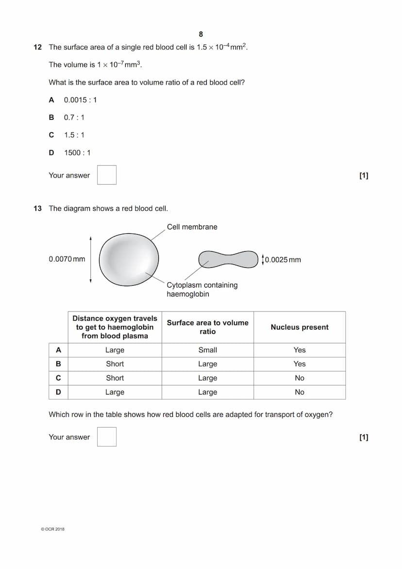 *7089391319*
OCR
Oxford Cambridge and RSA
H
GCSE (9-1) Biology A (Gateway Science)
J247/03 Paper 1, B1-B3 and B7 (Higher Tier)
Tuesday 15 Ma