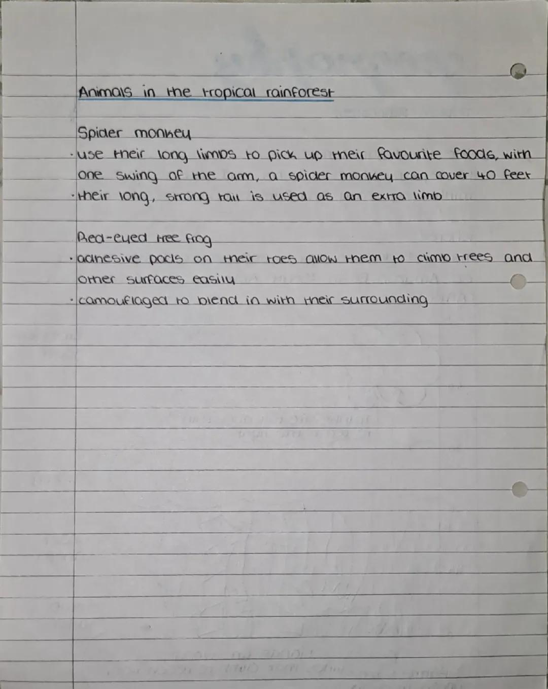 GEOGRAPHY
Ecosystems
Ecosystem-
an ecosystem is a community of plants and animais
which interact with eachother and their non-living
environ