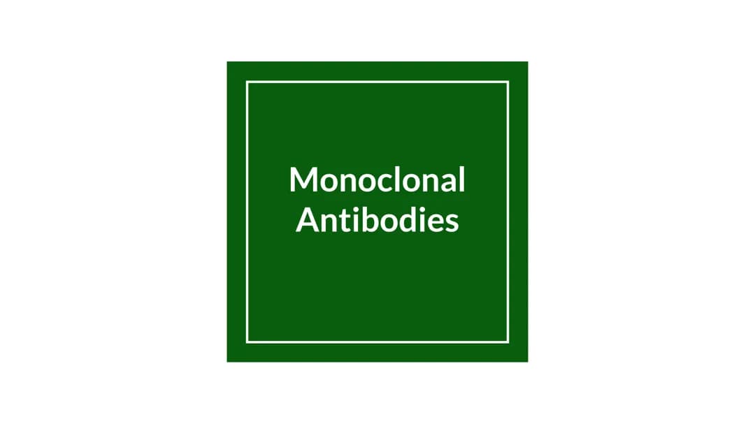 How Monoclonal Antibodies Are Made and Used in Medicine