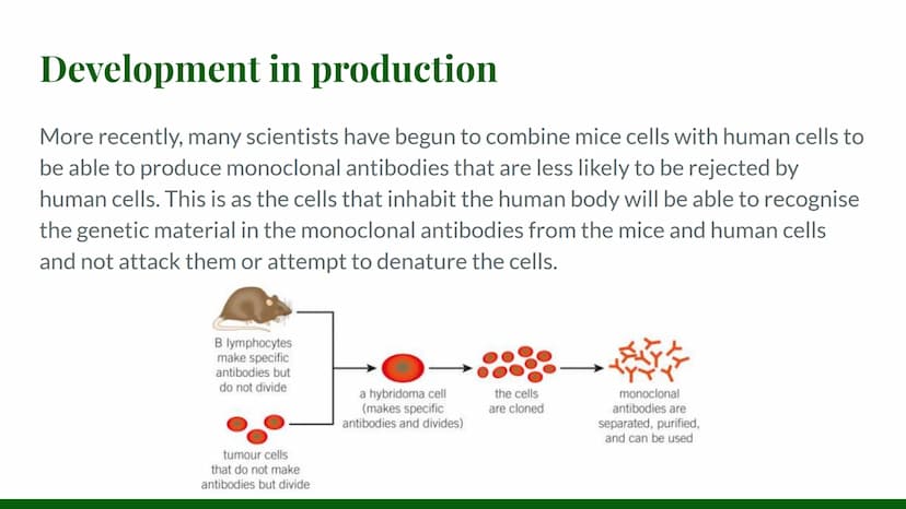 Monoclonal
Antibodies How are they produced?
Monoclonal antibodies are a form of medical treatment that rely on the immune
system. They are 