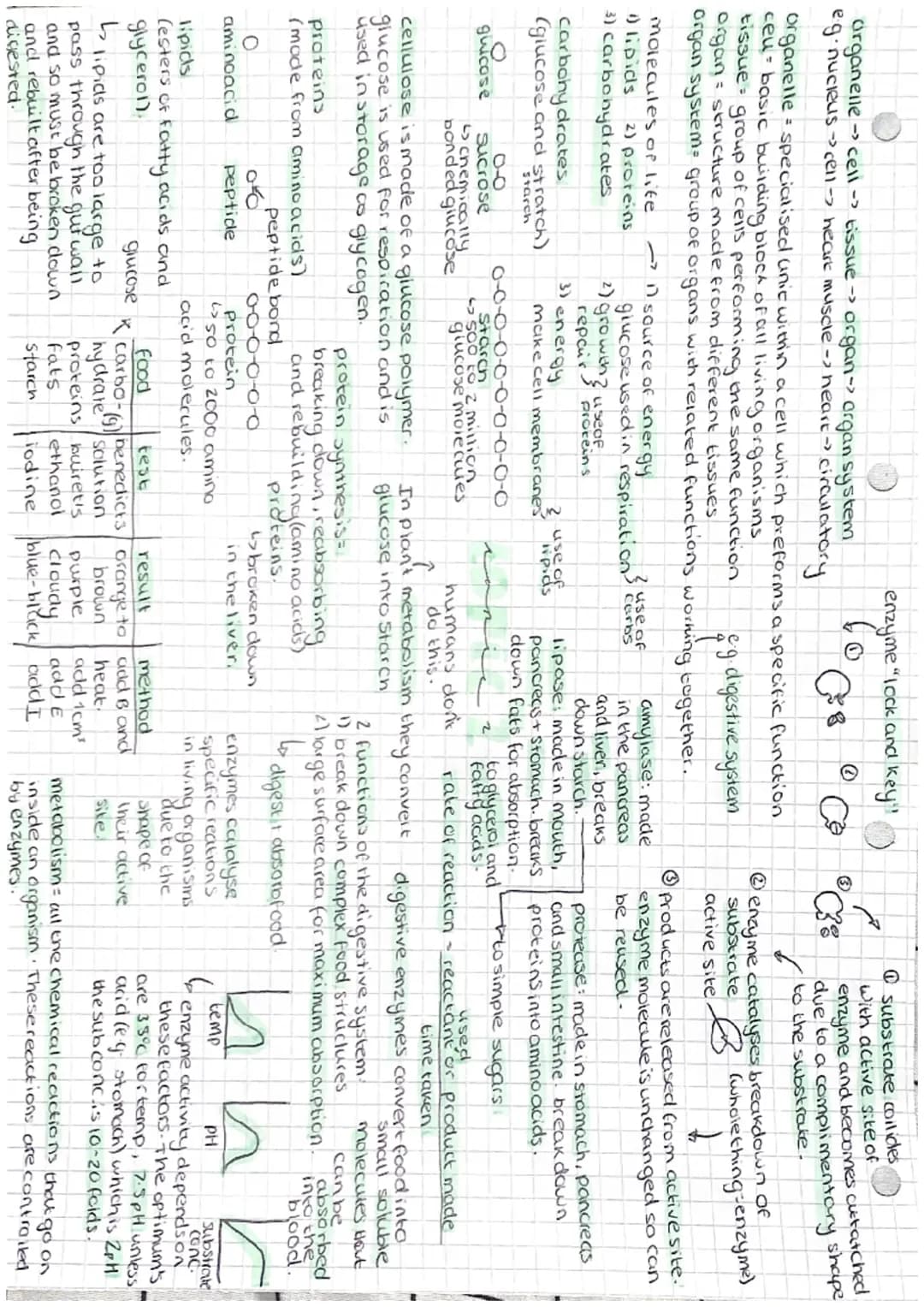 biology topic 2 