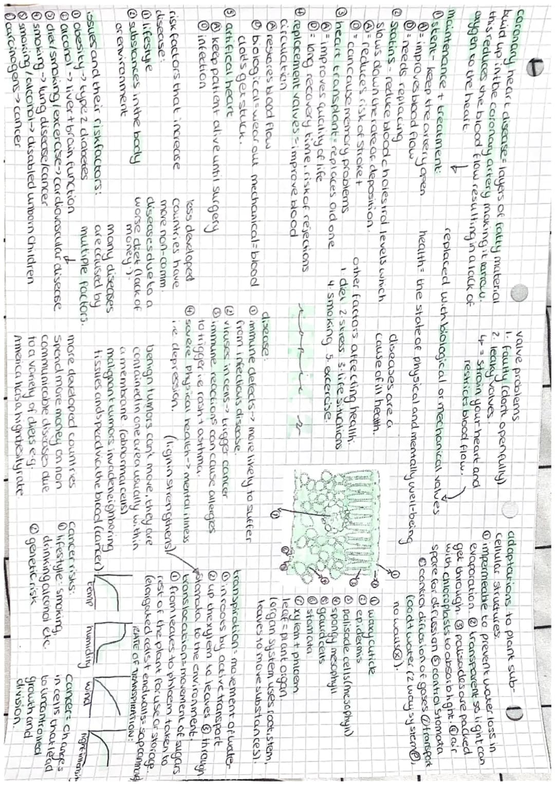 organelle -> cell -> tissue -> organ-> organ system
eg⋅nucleus → cell -> heart muscle -> heart->
circulatory
molecules of life
(2) proteins

