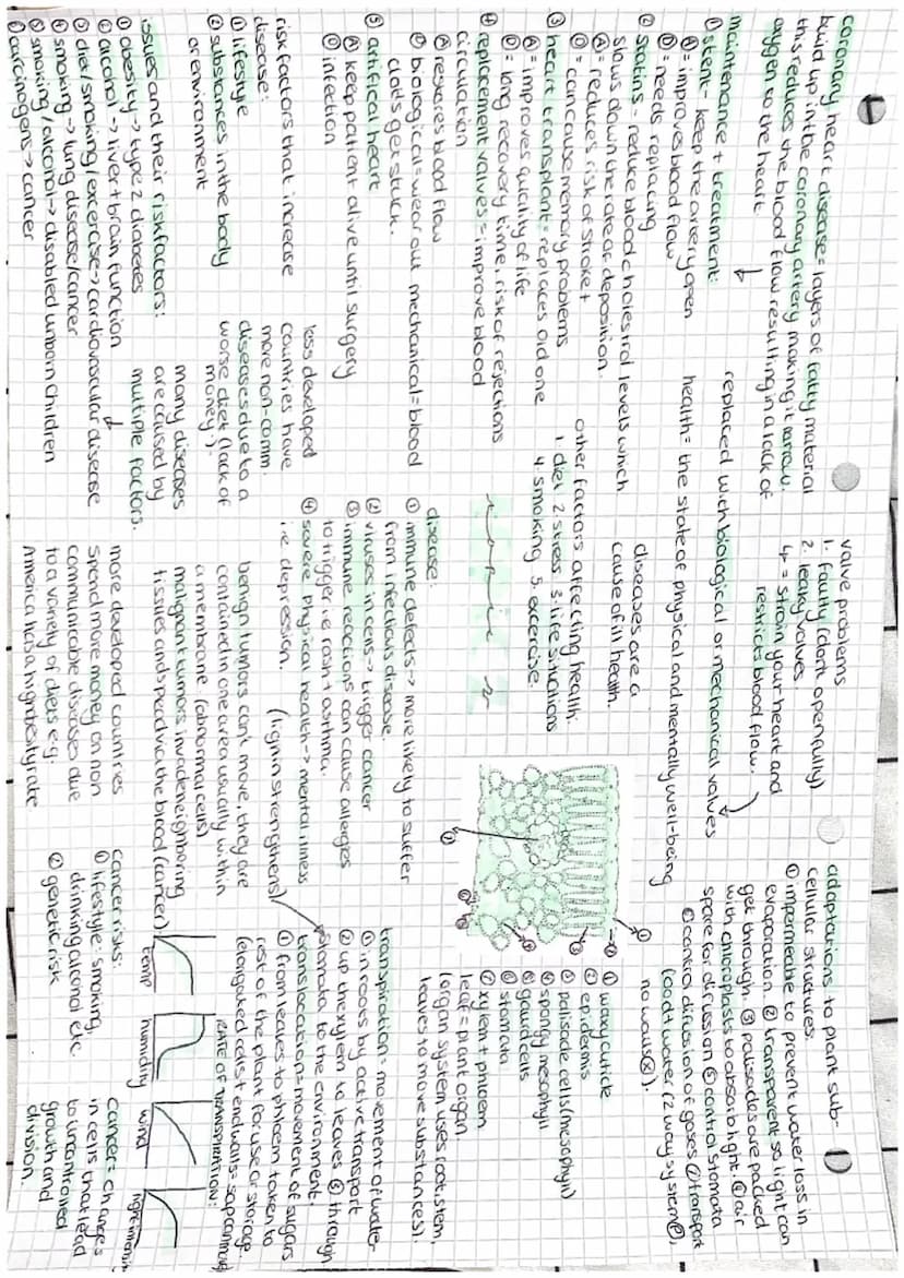 organelle -> cell -> tissue -> organ-> organ system
eg⋅nucleus → cell -> heart muscle -> heart->
circulatory
molecules of life
(2) proteins
