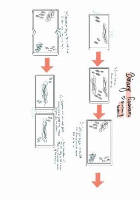 Know Binary Fission, the Cell Cycle and Arteries, Veins + Capillaries thumbnail