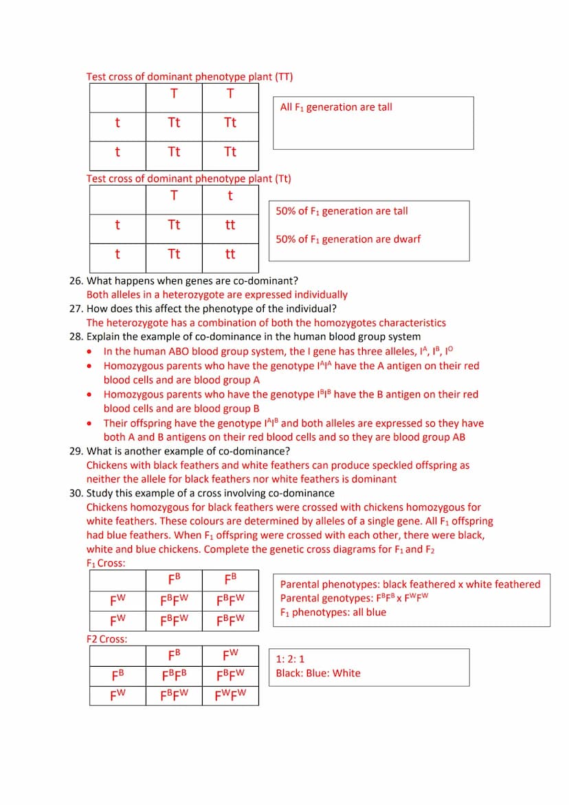Inheritance Revision Questions
1. What is a gene?
A sequence of DNA that codes for a polypeptide and which occupies a specific locus on a
ch