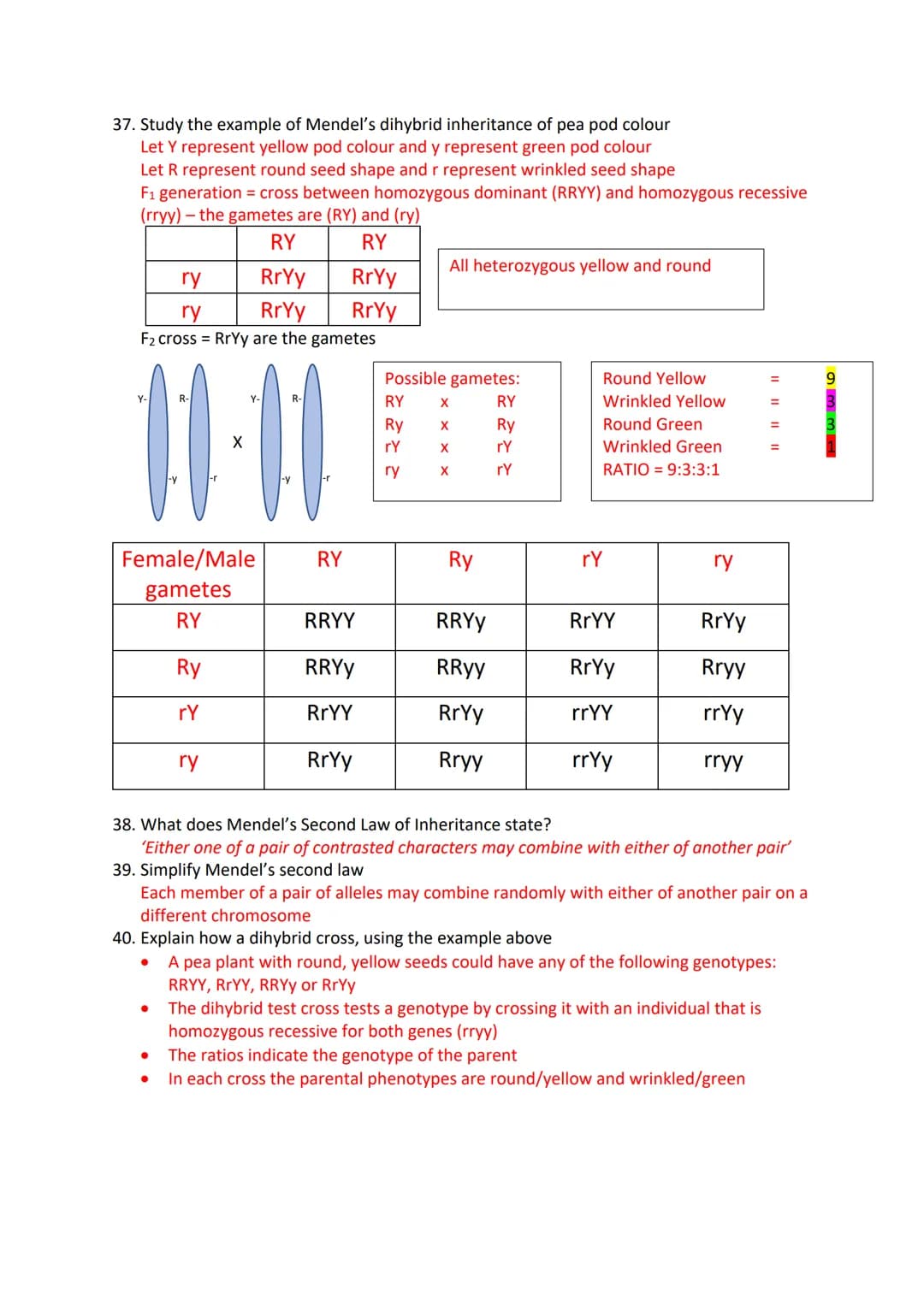 Inheritance Revision Questions
1. What is a gene?
A sequence of DNA that codes for a polypeptide and which occupies a specific locus on a
ch