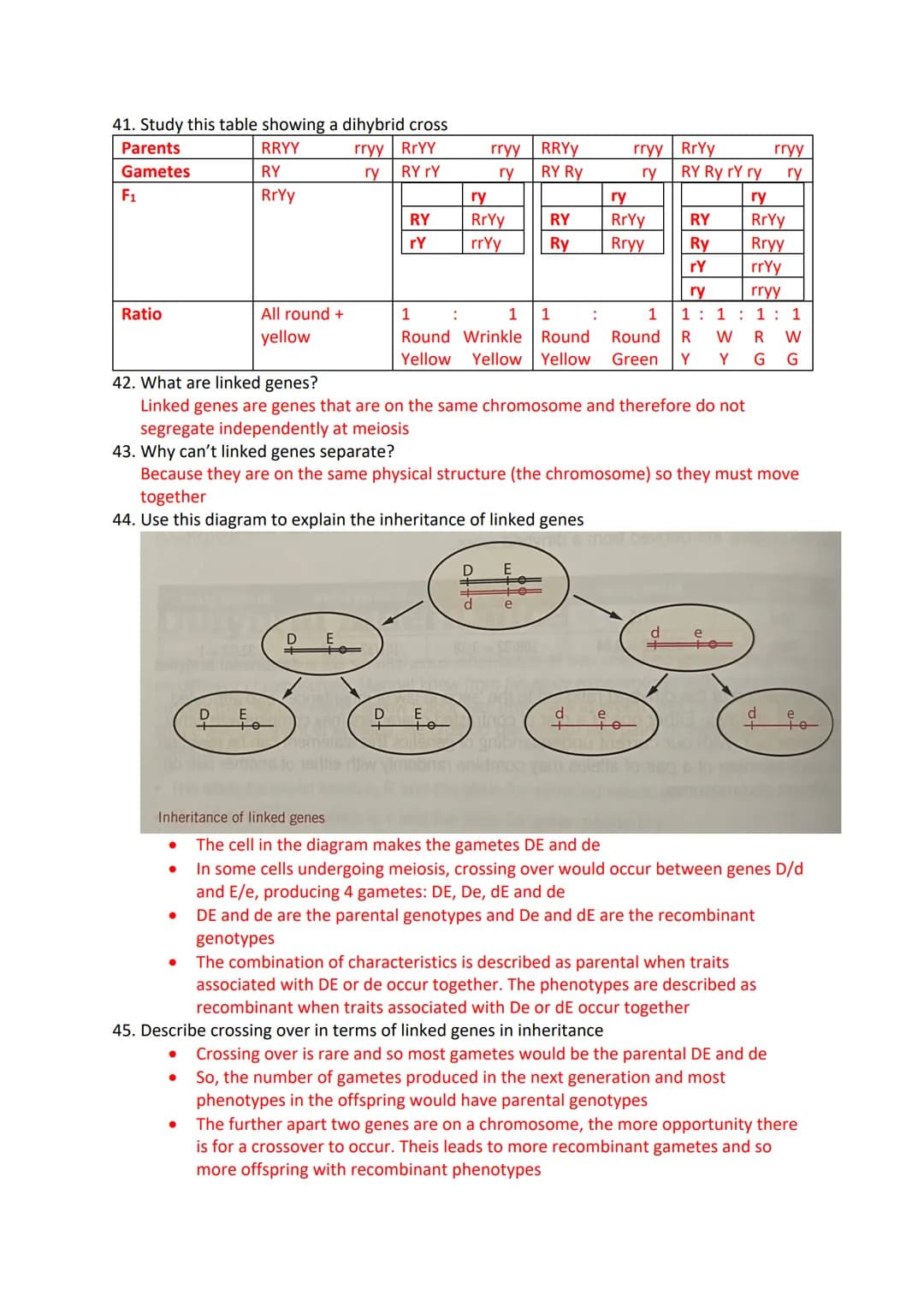 Inheritance Revision Questions
1. What is a gene?
A sequence of DNA that codes for a polypeptide and which occupies a specific locus on a
ch