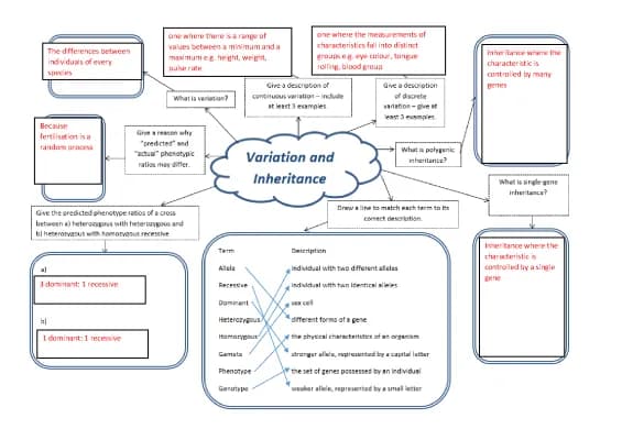 Know variation and inheritance mind map thumbnail